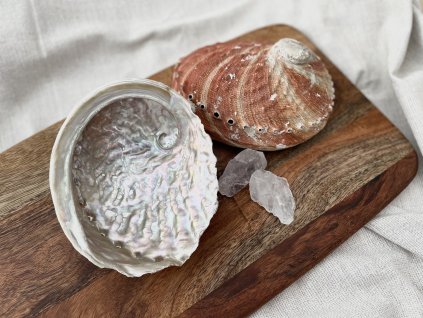 Abalone mušle australská Paua přírodní kadidelnice VEPEZ