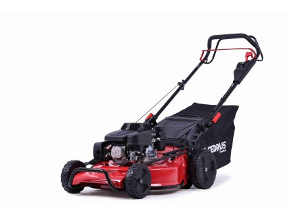 19342 cedlp53s l small