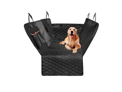 69937 getimage ashx id mp5403 autopotah pro psa 1