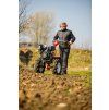 16960 31 2025 glebogryzarki cedrus 014