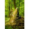 16981 34 2025 cedrus rozdrabniacz 018