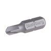 13956 1 bit stahlberg ts 6 25mm s2