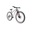 Horské jízdní kolo Capriolo C PRO C MTB 9.7 2022 29" 17,5" GRAY RED CARBON