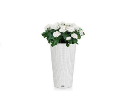 17317 3 lechuza cilindro cottage 23cm