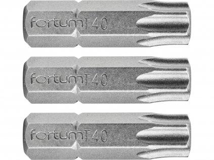 195684 hrot torx sada 3ks t 40x25mm s2