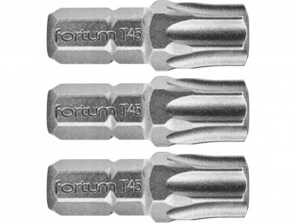 195681 hrot torx sada 3ks t 45x25mm s2