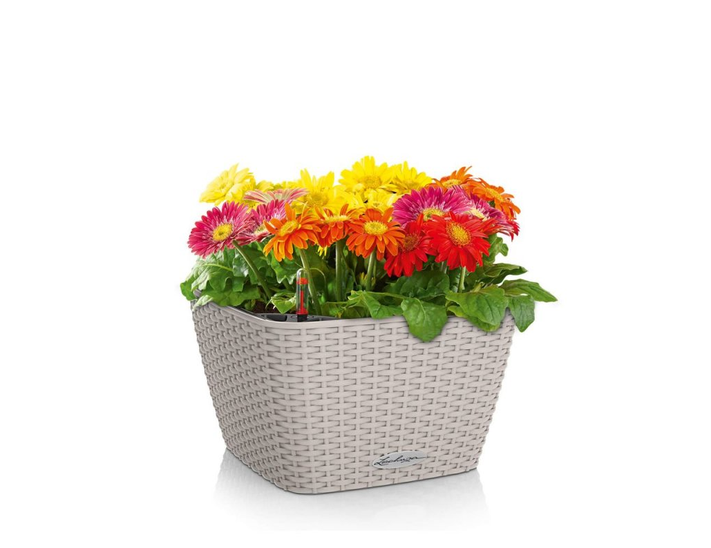 Lechuza BACINO Cottage bílá