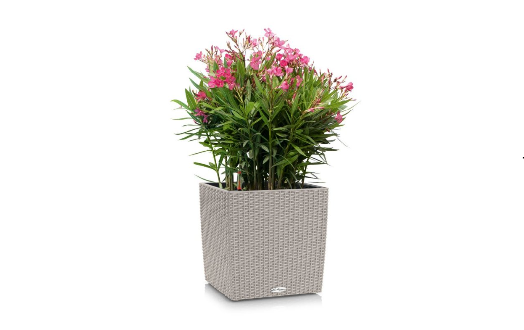 Lechuza Cube Cottage 30cm bílá