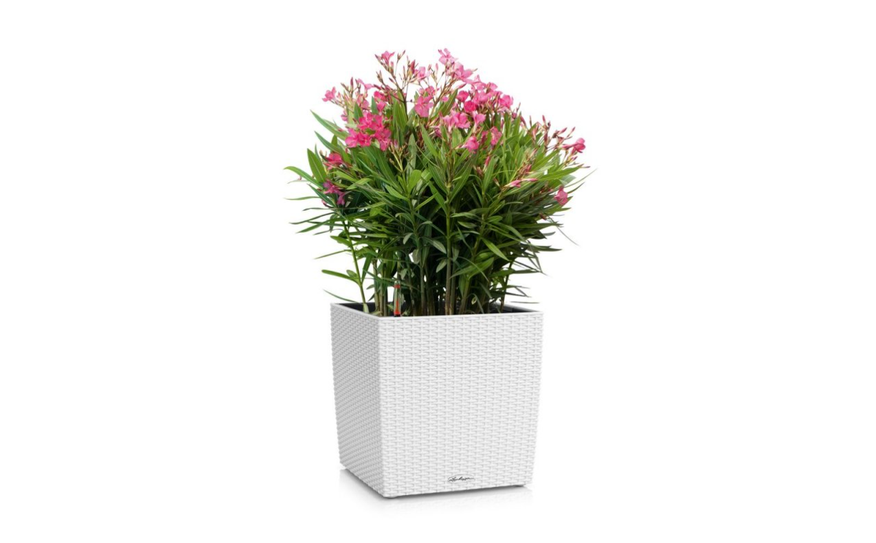 Lechuza Cube Cottage 40cm bílá