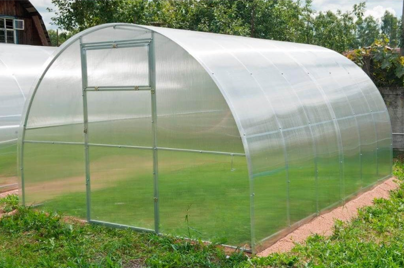 LEGI Estragon 6×3 m — detail polykarbonátového zasklení 6 mm s UV ochranou