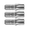 195681 hrot torx sada 3ks t 45x25mm s2