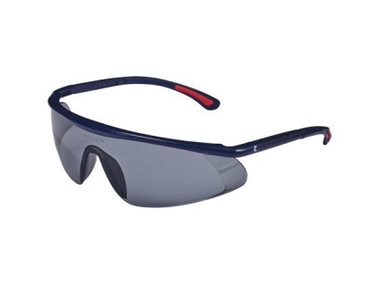 BARDEN brýle AF, AS, UV (Velikost -, Barva kouřová)