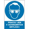 99030042 CERVA PRACUJ V OCHR BRYLICH.tif