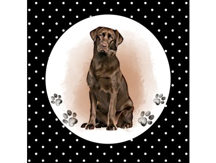 Labrador hnědý 45x45cm puntík