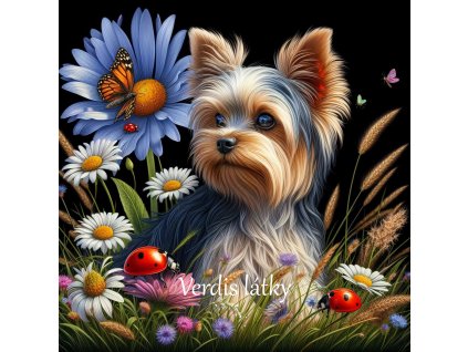 08b4da10 f3aa 4517 9a00 8d9d9ff28815