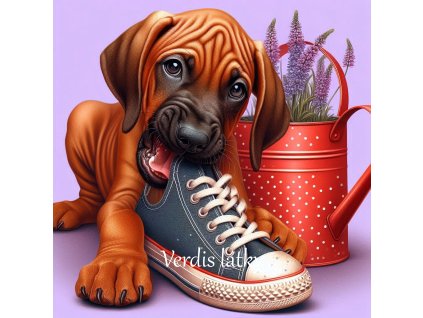 ffb7dcf1 4f4e 480a b73d 1a8e04b38b06