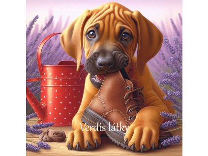 6d685279 cb5b 44ae 87a0 ff5f0ff8e62f