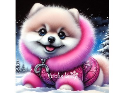 Kočárkovina panel pejsek zimní Pomeranian 3