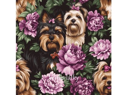 veronika 37383 digi art several merry sitting dogs Yorkshire Bi 082384d1 6c0d 4479 85cc 9066d0571fab