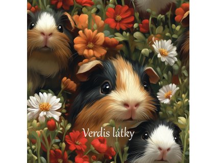 veronika 37383 real cute hairy black and brown and white guinea f4a021c1 0d7b 4d02 80ab 181c16b66f06