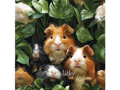 veronika 37383 digi art some real cute hairy black and brown an 60267ad5 adc5 40f8 9f42 6903732f34c8