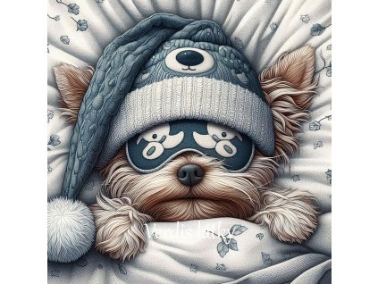 1db3c918 ff4d 44da 8a7f 0f0d1de56f2c