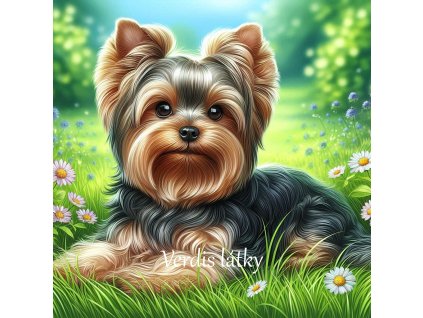 8e859004 c1c4 4a64 b584 df293942a68f