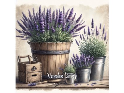 bf5073b6 4e34 41db 82b5 c07763627f0f