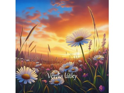 veronika 37383 fdb600f6 e274 4be4 a377 07cb1f1f24b6