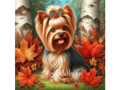 c1a70f67 9151 441e b652 0af53eb19ca6