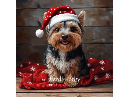 veronika 37383 digital art a sitting Yorkshire with a cheerful d9c30fb6 d096 4e1d aef3 7b25078c1572