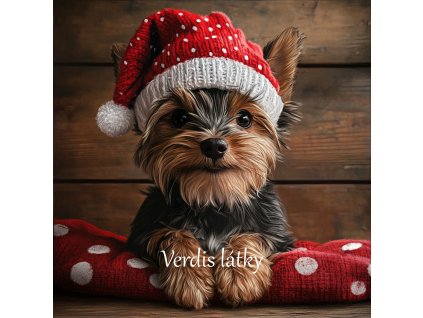 veronika 37383 digital art a sitting Yorkshire with a cheerful e2053ffa 9db9 4f4e 89a3 b5bf73a4b9dd