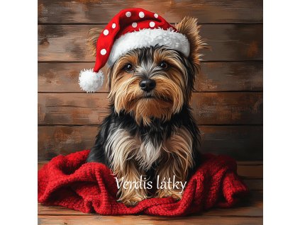 veronika 37383 digital art a sitting Yorkshire with a cheerful 68d018e9 586c 4364 baef 36e5243aaad1