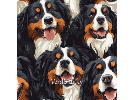 veronika 37383 a few Bernese pigskin dogs arranged next to each 685335db 7d69 4f8c 88c1 ede4d03c06dd