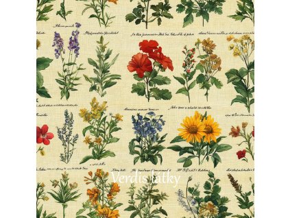 veronika 37383 watercolor medicinal herbs from the Herbarium ba 7b0d7eb7 4939 43c9 8f94 a42754e023a5