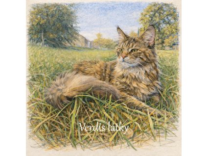 9C7BF045 A894 4ADD 818C 1D44F62E6DD2