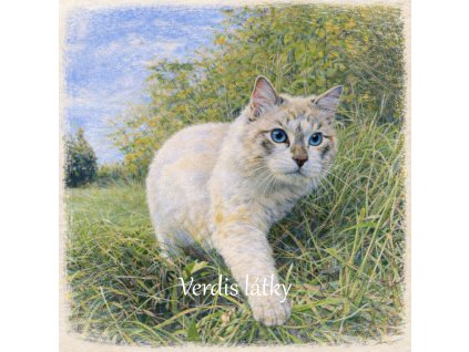 09DD787B 8CB0 4DB8 A1D9 97EF38A3AC52