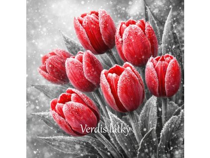 6D3C7713 B969 48AB BDAA 45BAB5A3935C