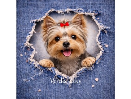 2232A5E1 FD94 408B 9C1B 5B76138825E7