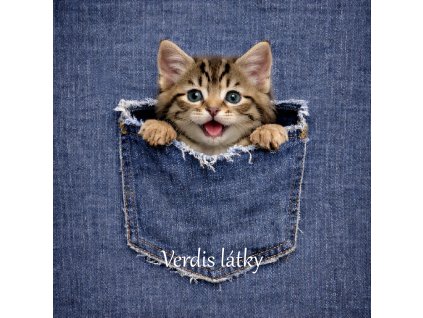 1D8BEB59 A8EE 4666 B95F EBCA02B9BD97