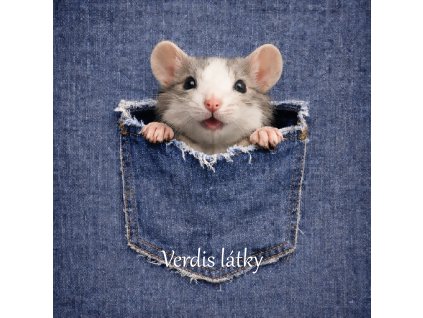 AED0A372 2014 4488 807A 8B6E2005B462