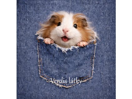 F4F89AD9 1ACE 4016 B15A 6EBB5AF01860