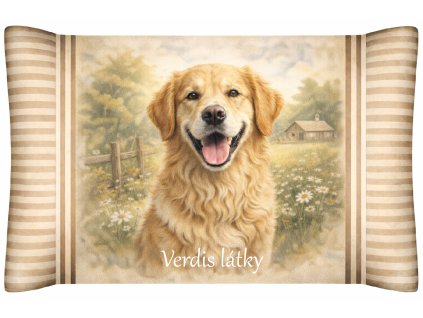 CCE26A1B 124D 46D5 A2ED 37FA82E5ED47