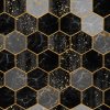 Kočárkovina hexagon plástve černé