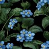 veronika 37383 several forget me nots with green leaves a black 791cc24d 7d4f 47df ae69 8bcbfdc6f33a (1)