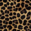 veronika 37383 leopard skin 3425db67 d626 4d8d 97d8 a4e10eab2520