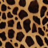 veronika 37383 digital art airbrushed style giraffe fur 2e60e260 8328 43b8 ad6f c1195b8f3251