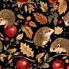 veronika 37383 acvarel detail hedgehogs black background with r 9d6f6224 853b 40f6 9154 aed007182188