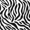 vzor zebra velký