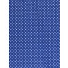 Plátno puntík na  modré